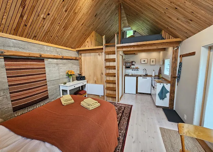 Sigurd\'S Tiny House