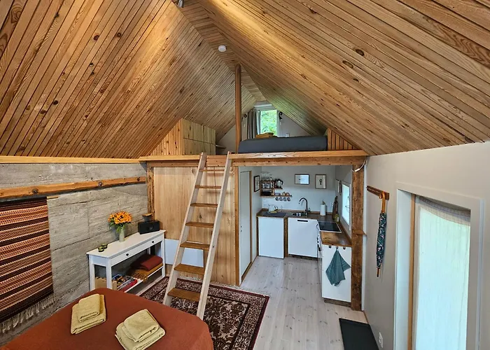 Sigurd\'S Tiny House